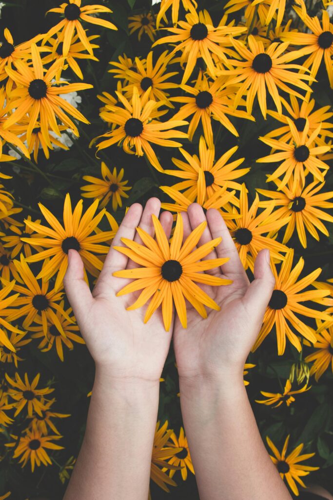 pexels-photo-1697912-1697912 Close-up of hands holding vibrant yellow daisies, showcasing natural beauty and floral pattern.